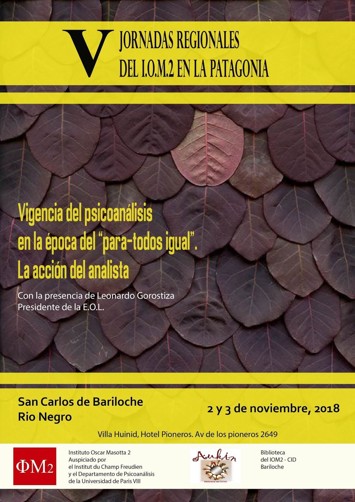 Flyer V Jornadas -Bariloche 2018